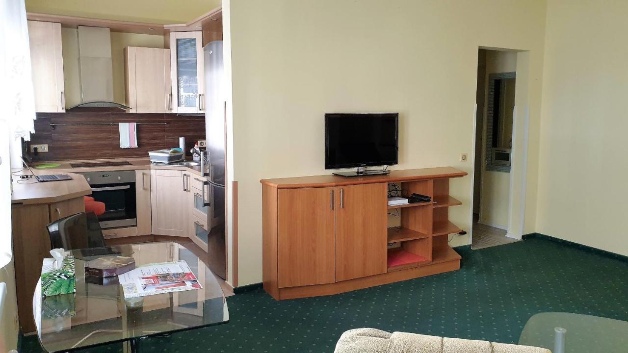 Spa Apartment Raisova Karlovy Vary Kültér fotó