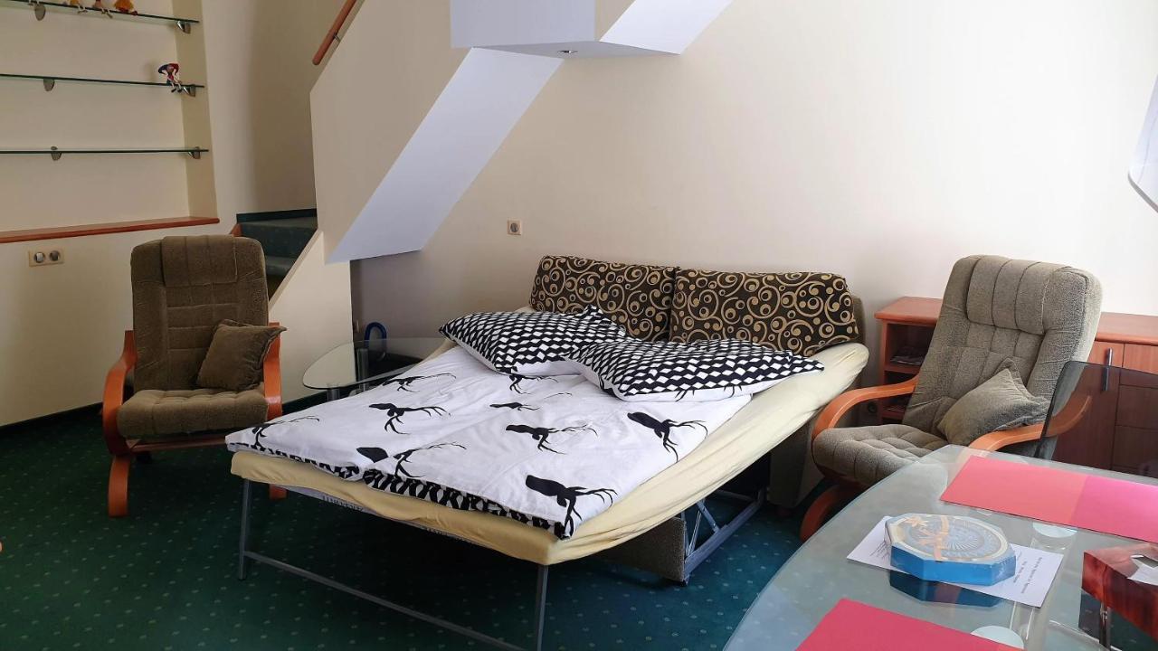 Spa Apartment Raisova Karlovy Vary Kültér fotó